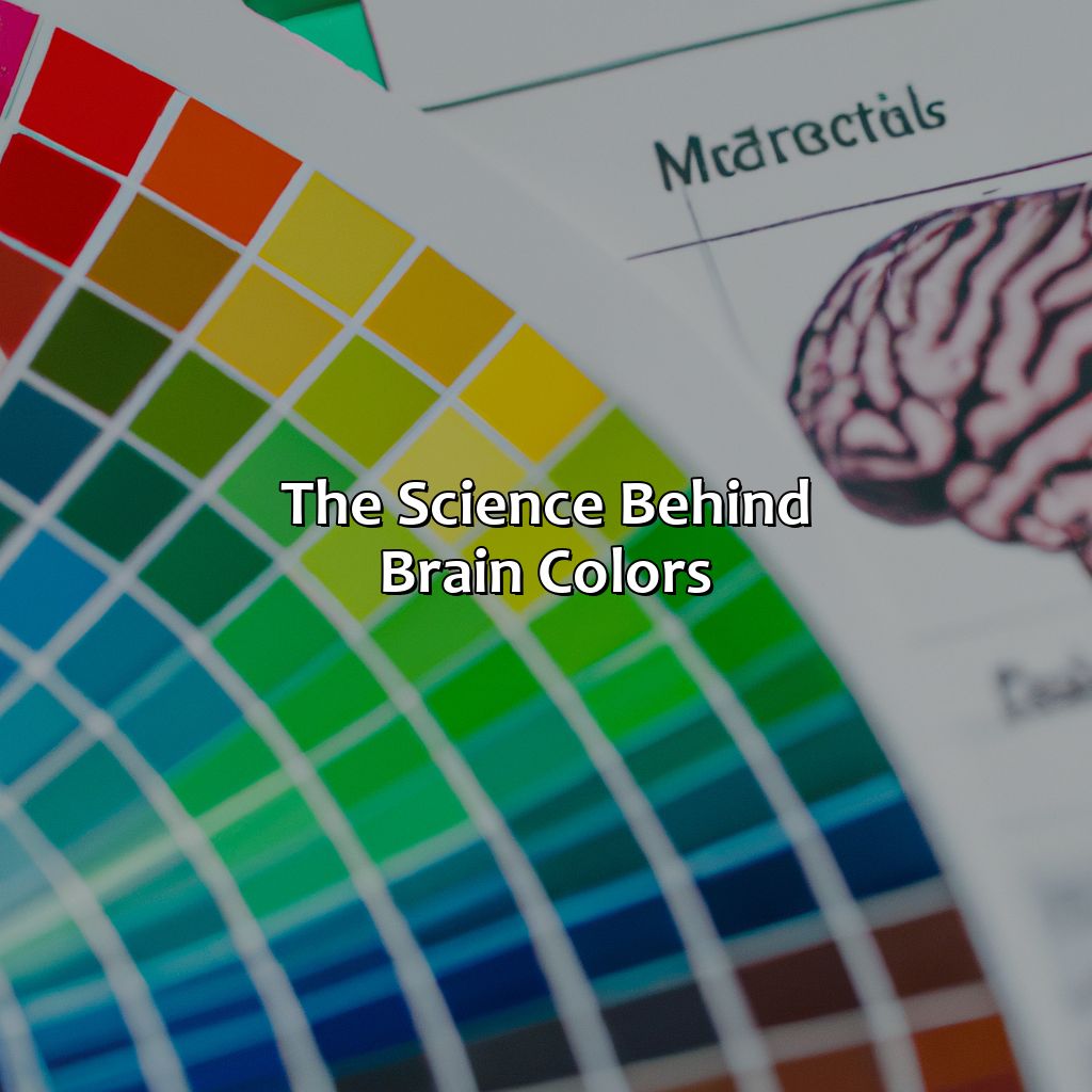 The Science Behind Brain Colors  - What Color Is Your Brain, 