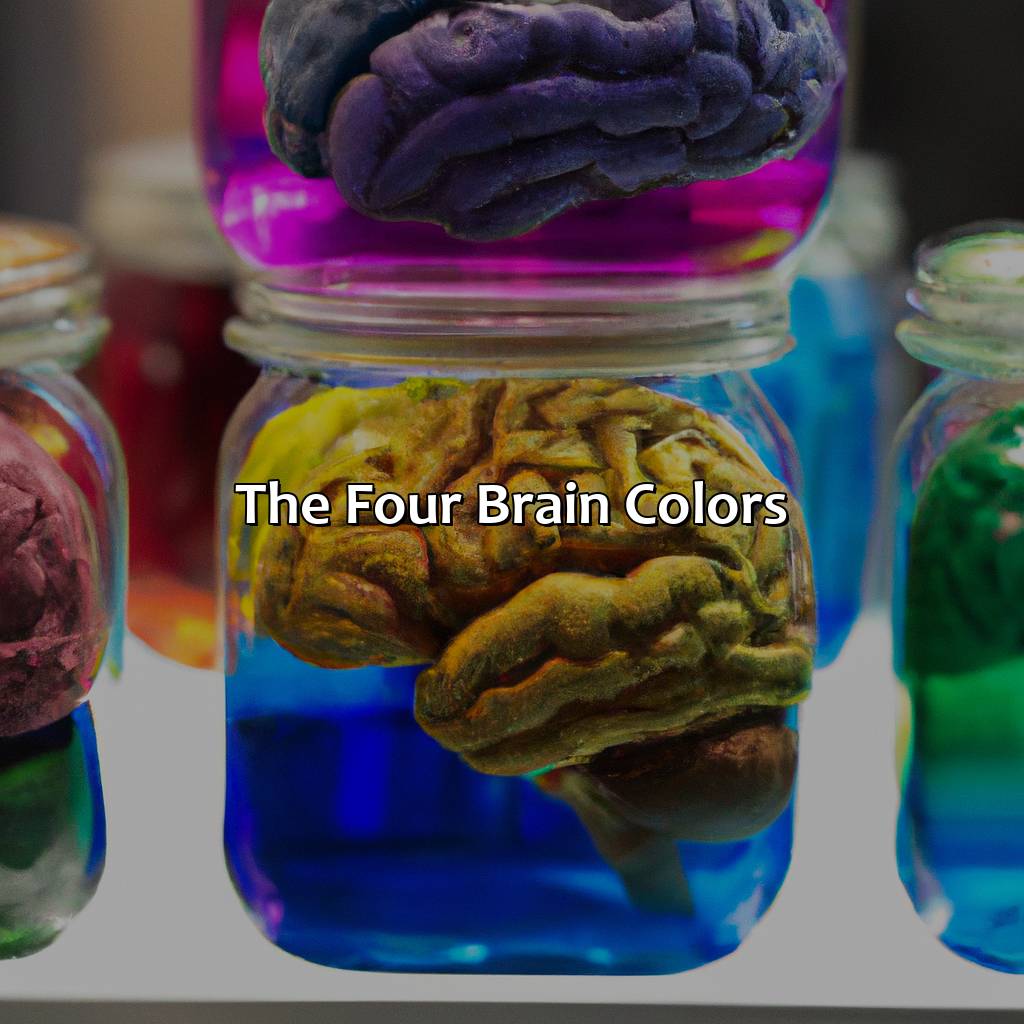 The Four Brain Colors  - What Color Is Your Brain, 