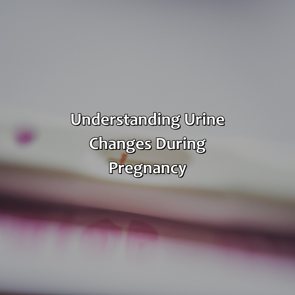 Understanding Urine Changes During Pregnancy  - What Color Is Your Pee When Your Pregnant, 
