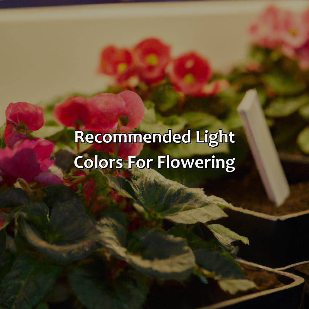 Recommended Light Colors For Flowering  - What Color Light Is Best For Flowering, 