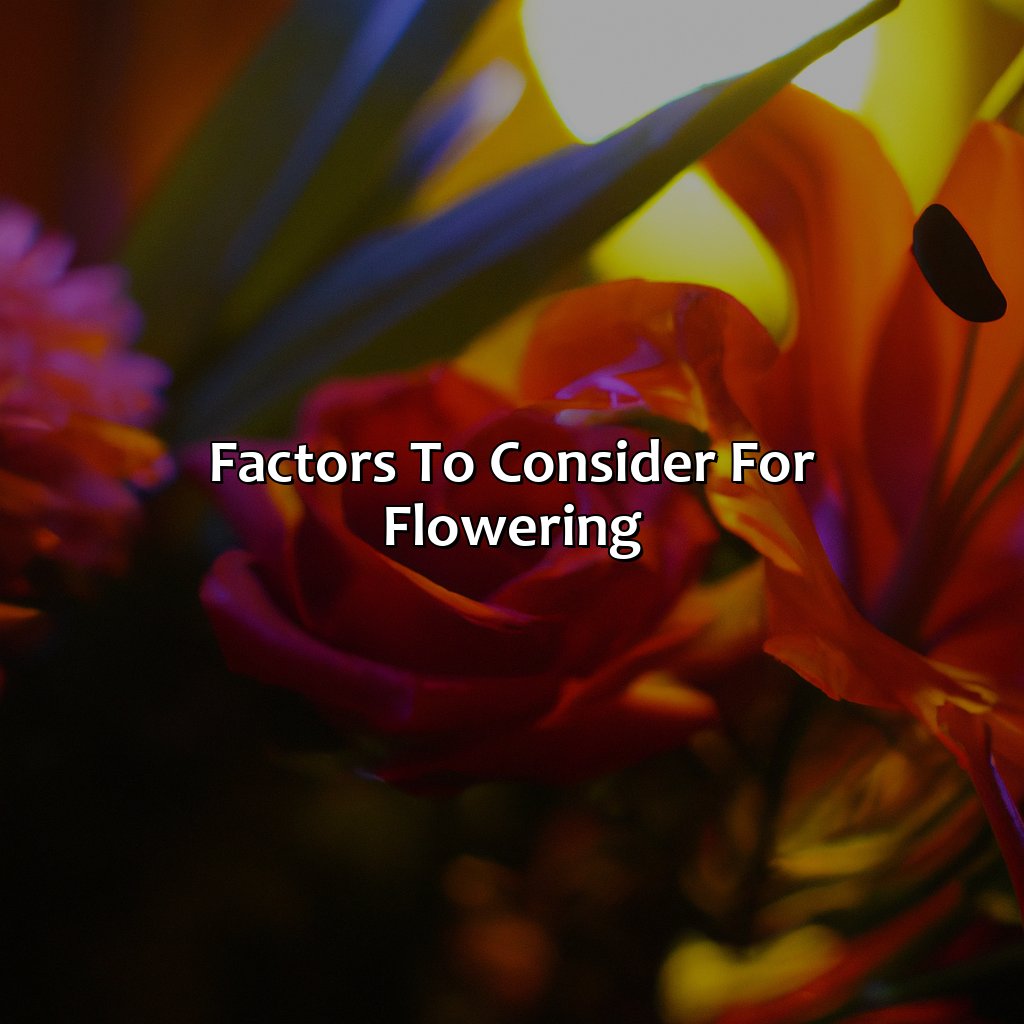 Factors To Consider For Flowering  - What Color Light Is Best For Flowering, 