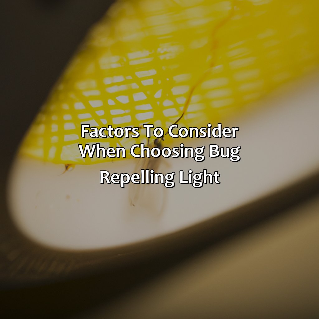 Factors To Consider When Choosing Bug Repelling Light  - What Color Light Keeps Bugs Away, 