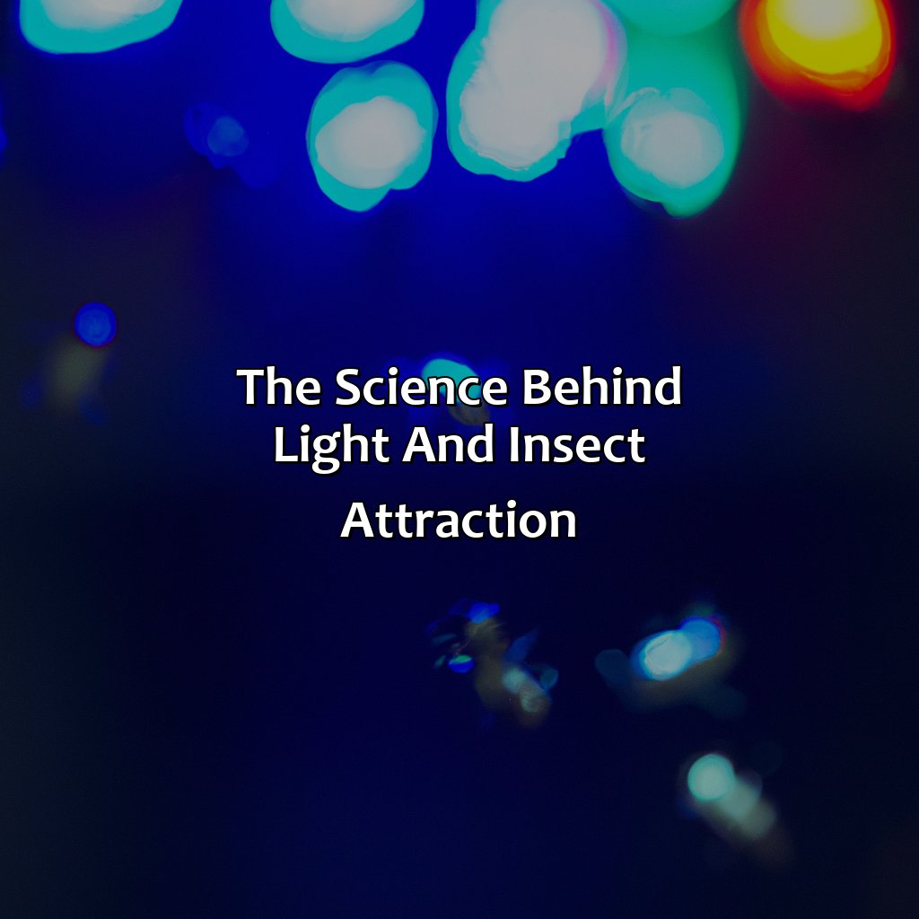 The Science Behind Light And Insect Attraction  - What Color Light Repels Bugs, 