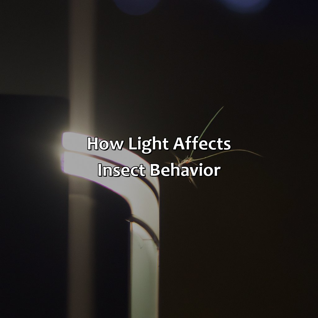How Light Affects Insect Behavior  - What Color Light Repels Bugs, 