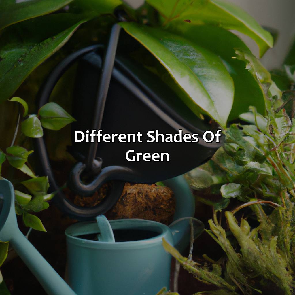 Different Shades Of Green  - What Color Looks Good With Green, 