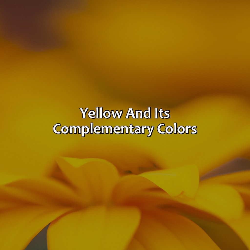 Yellow And Its Complementary Colors  - What Color Looks Good With Yellow, 