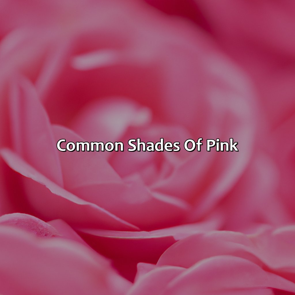 Common Shades Of Pink  - What Color Make Pink, 