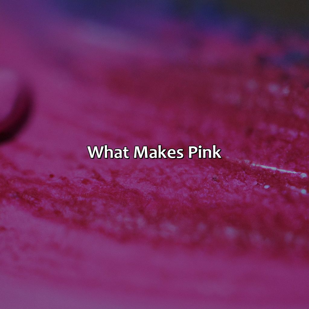 What Makes Pink?  - What Color Make Pink, 