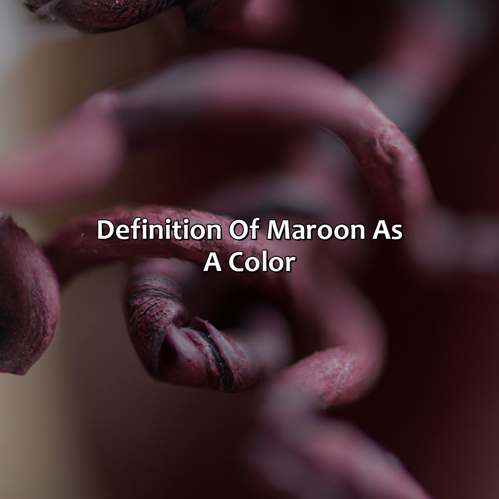 Definition Of Maroon As A Color  - What Color Makes Maroon, 