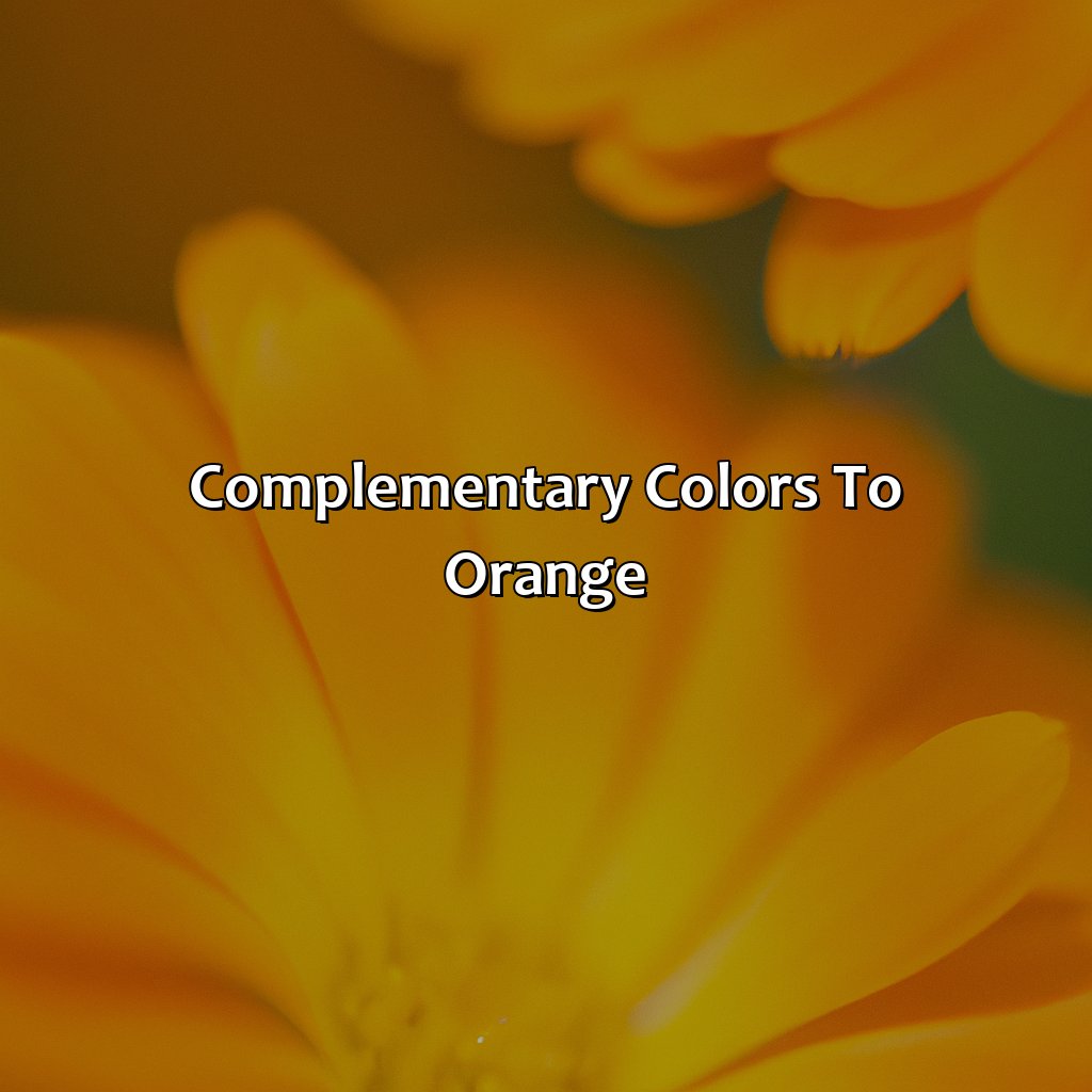 Complementary Colors To Orange  - What Color Makes Orange, 
