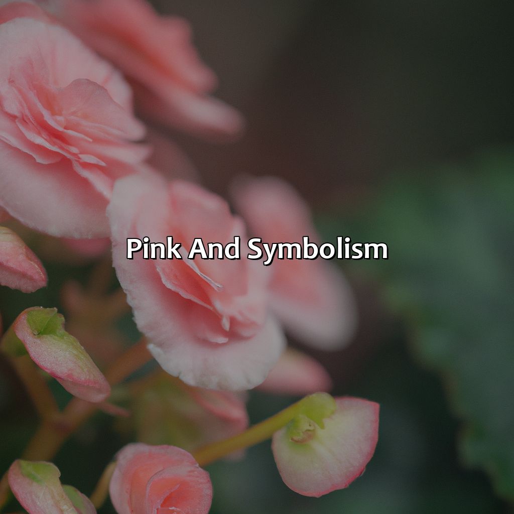 Pink And Symbolism  - What Color Makes Pink, 
