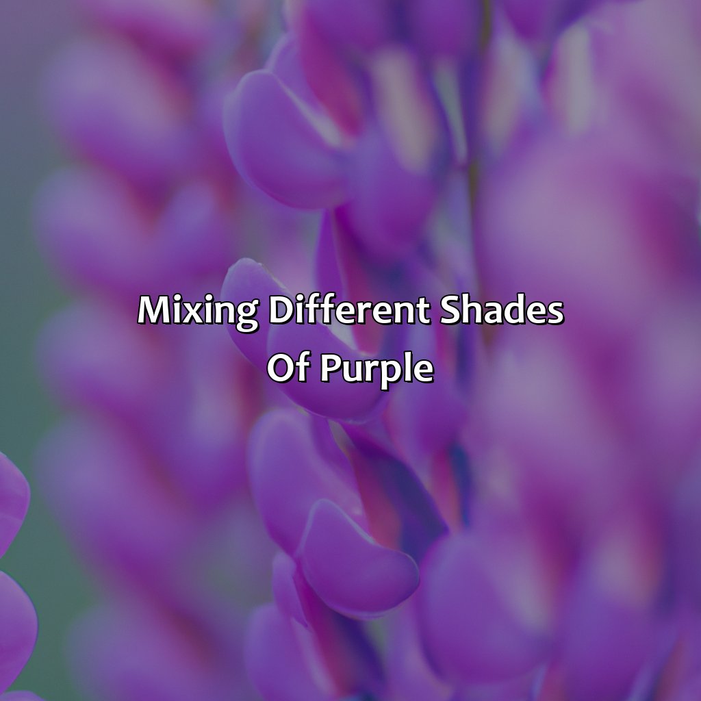 Mixing Different Shades Of Purple  - What Color Makes Purple, 