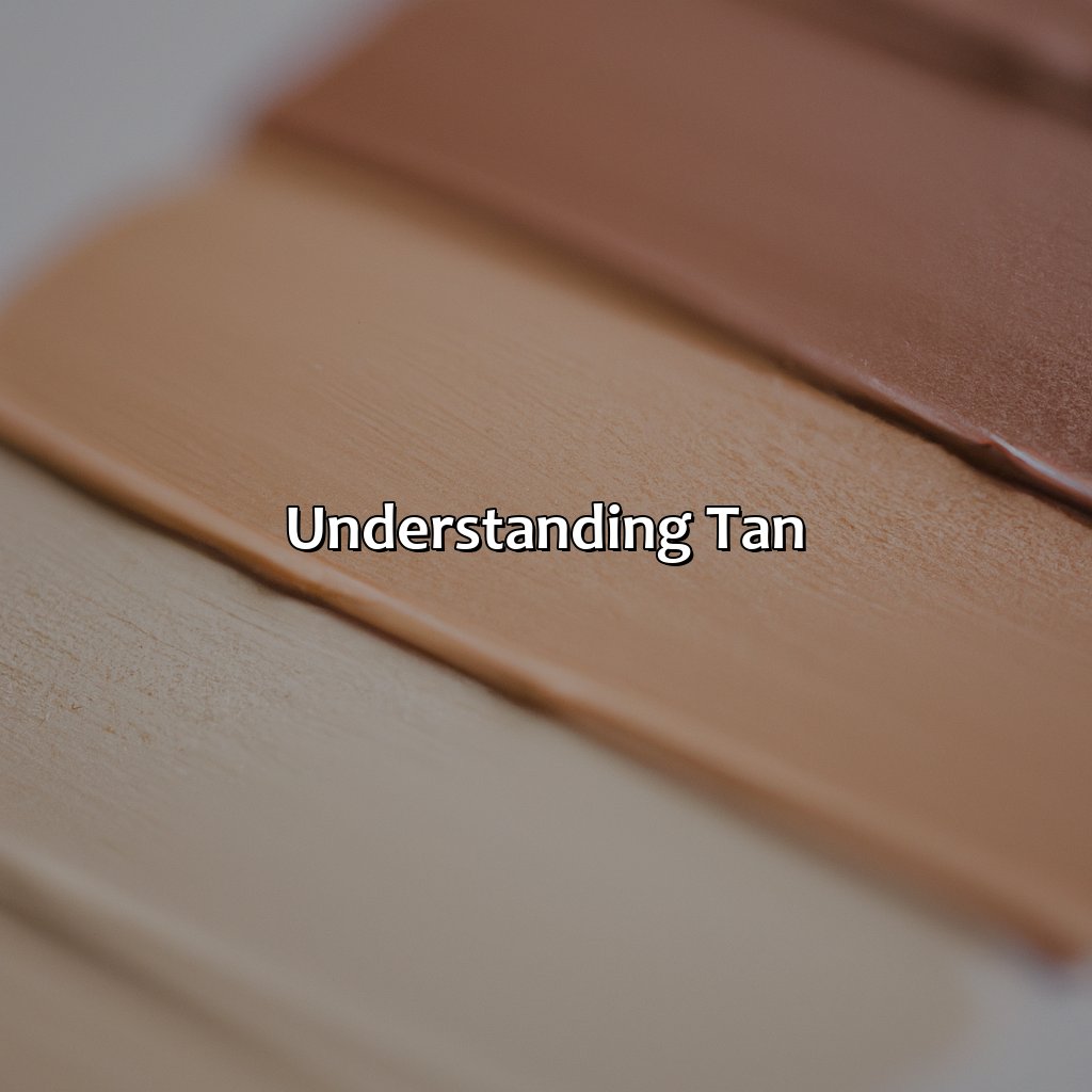 Understanding Tan  - What Color Makes Tan, 