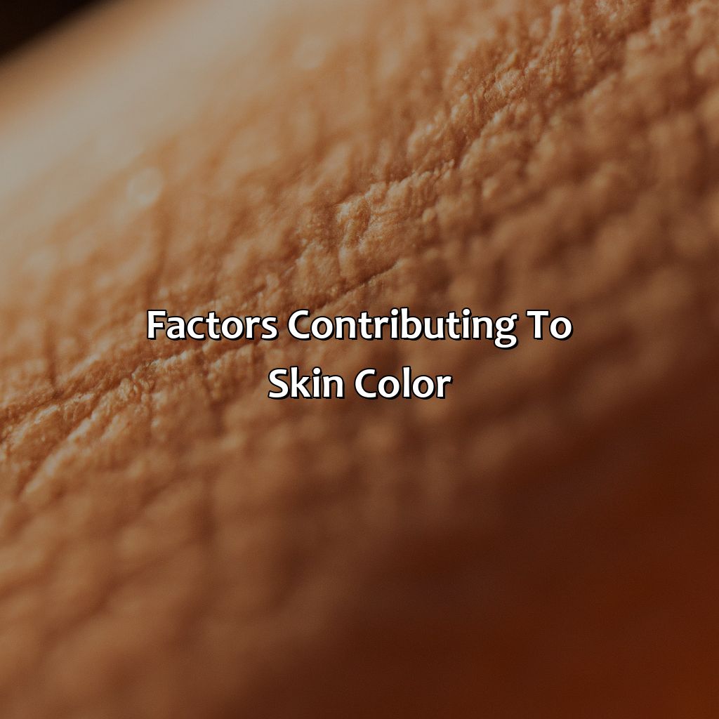 Factors Contributing To Skin Color  - What Color Makes Tan, 