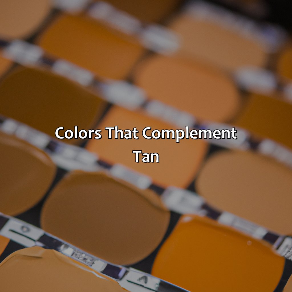 Colors That Complement Tan  - What Color Makes Tan, 
