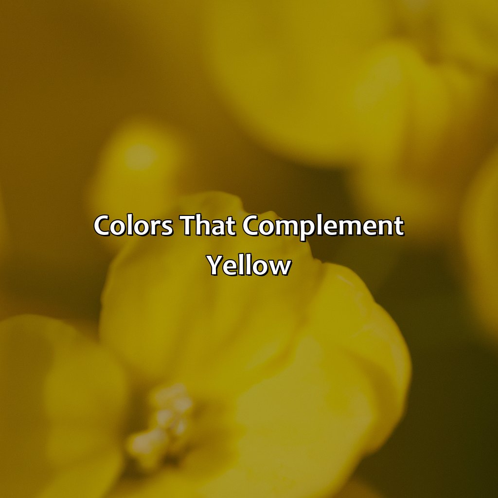 Colors That Complement Yellow  - What Color Makes Yellow, 