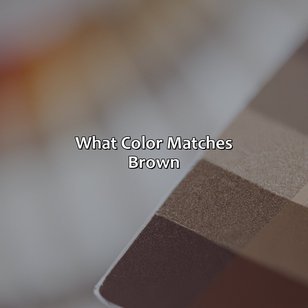 What Color Matches Brown - colorscombo.com