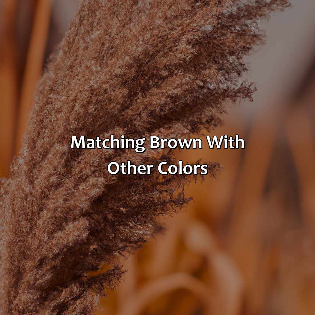 Matching Brown With Other Colors  - What Color Matches Brown, 
