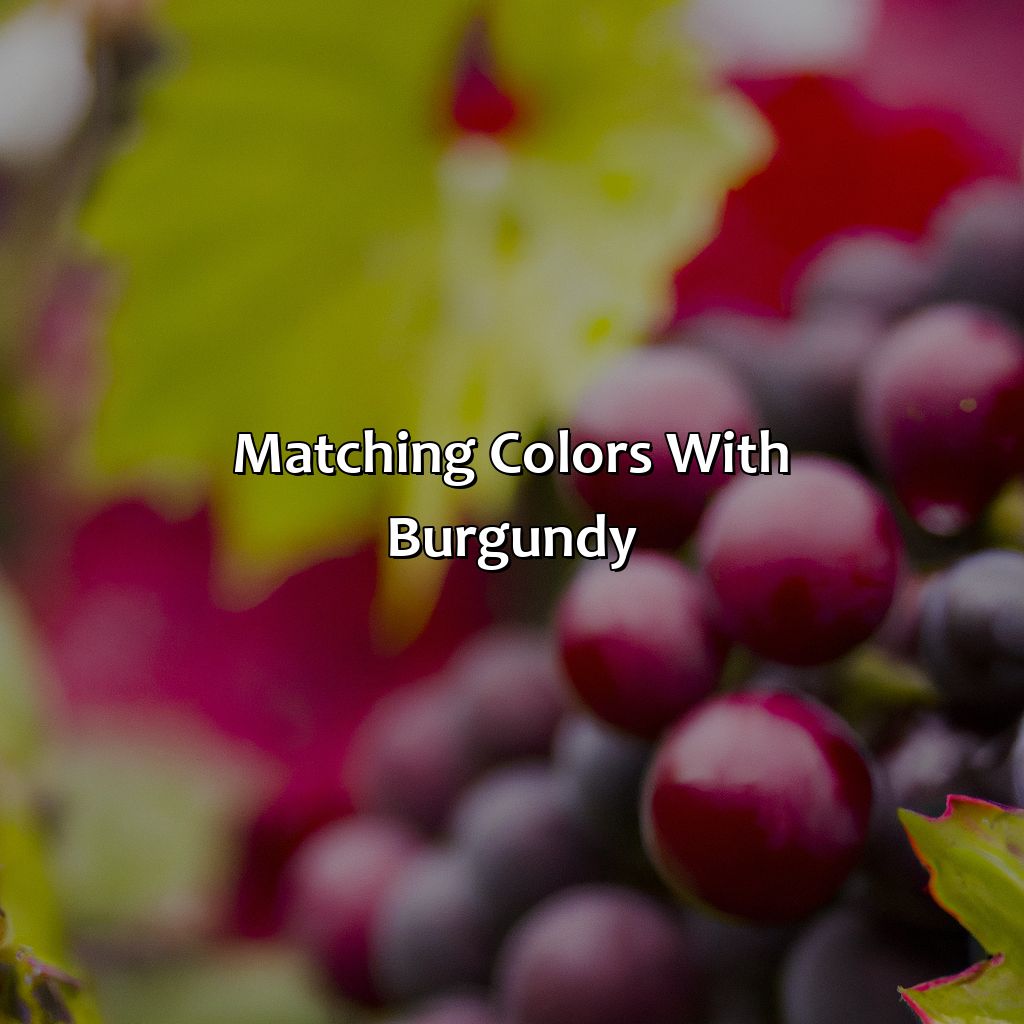 Matching Colors With Burgundy  - What Color Matches Burgundy, 