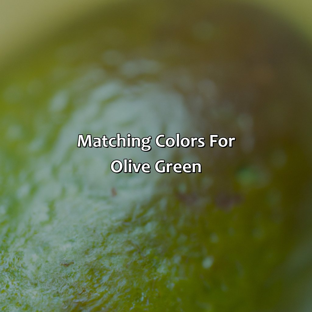 Matching Colors For Olive Green  - What Color Matches Olive Green, 