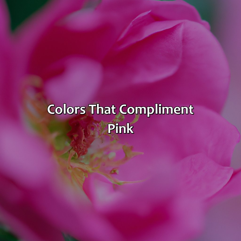 Colors That Compliment Pink  - What Color Matches Pink, 