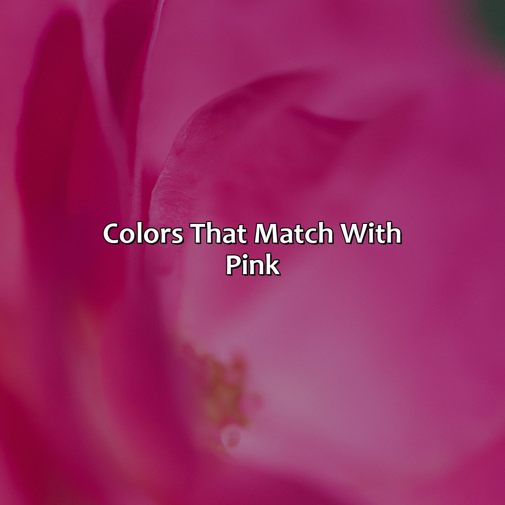 Colors That Match With Pink  - What Color Matches Pink, 