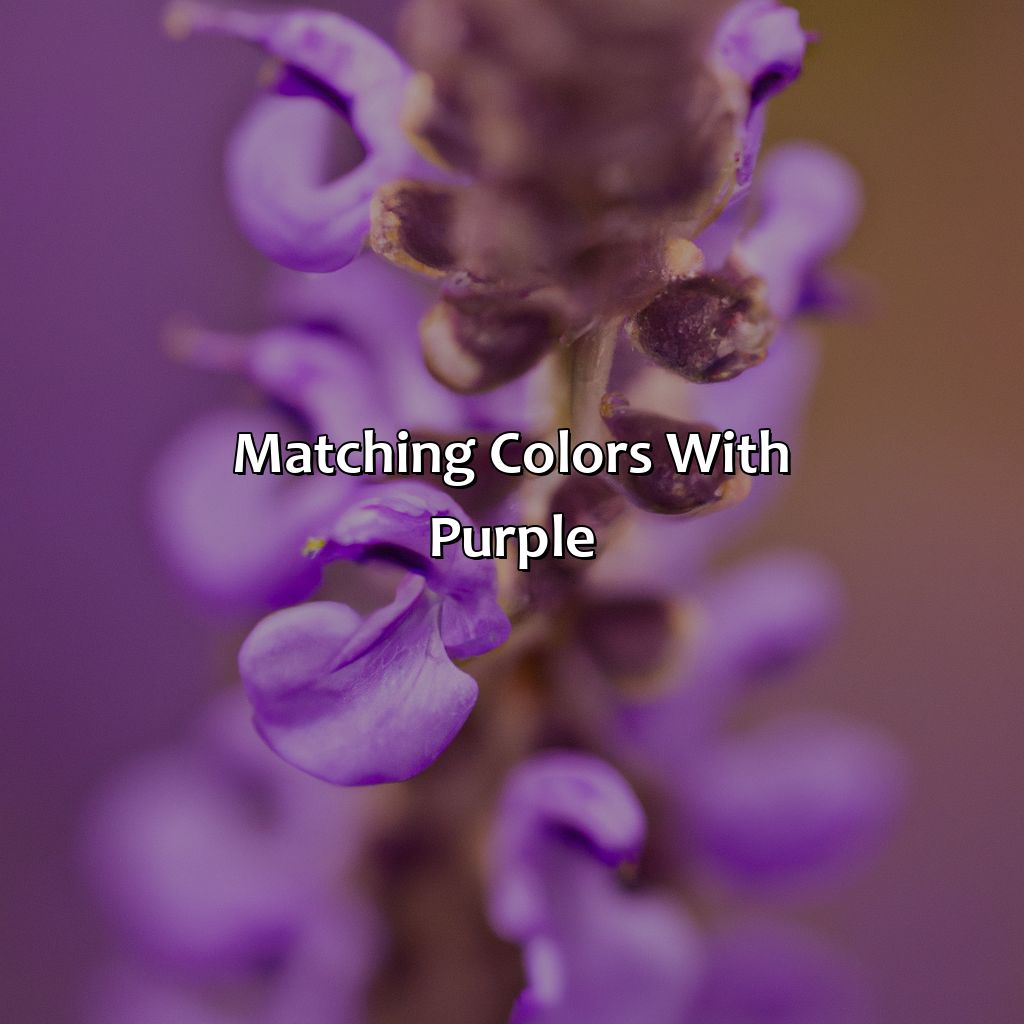Matching Colors With Purple  - What Color Matches Purple, 