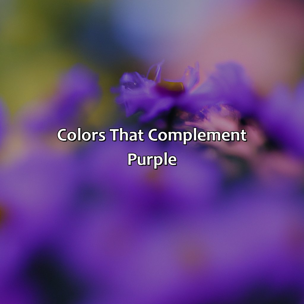 Colors That Complement Purple  - What Color Matches Purple, 