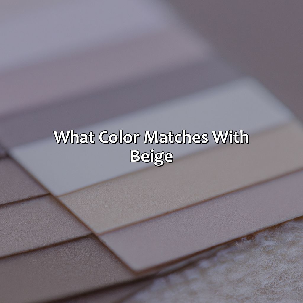 What Color Matches With Beige - colorscombo.com