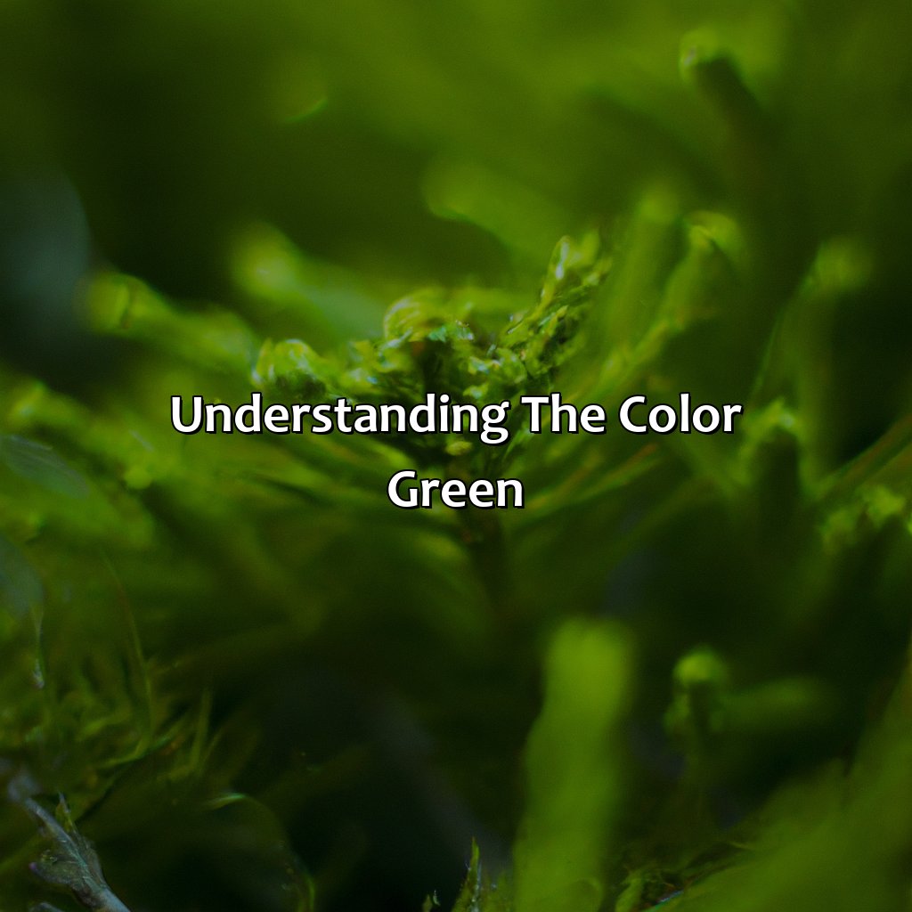Understanding The Color Green  - What Color Matches With Green, 