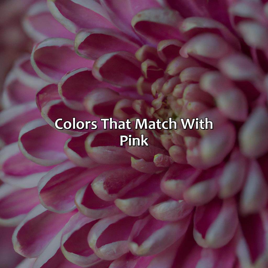 Colors That Match With Pink  - What Color Matches With Pink, 
