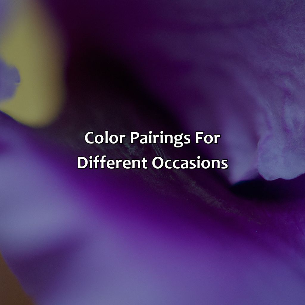 Color Pairings For Different Occasions  - What Color Matches With Purple, 