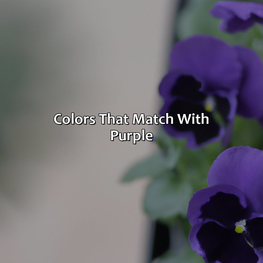 Colors That Match With Purple  - What Color Matches With Purple, 