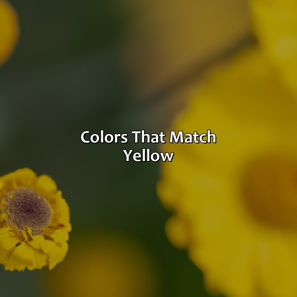 Colors That Match Yellow  - What Color Matches Yellow, 