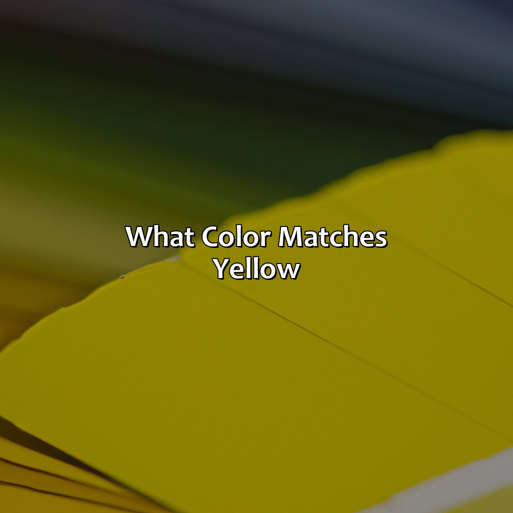 What Color Matches Yellow - colorscombo.com