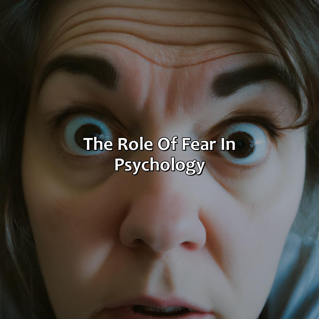 The Role Of Fear In Psychology  - What Color Represents Fear, 