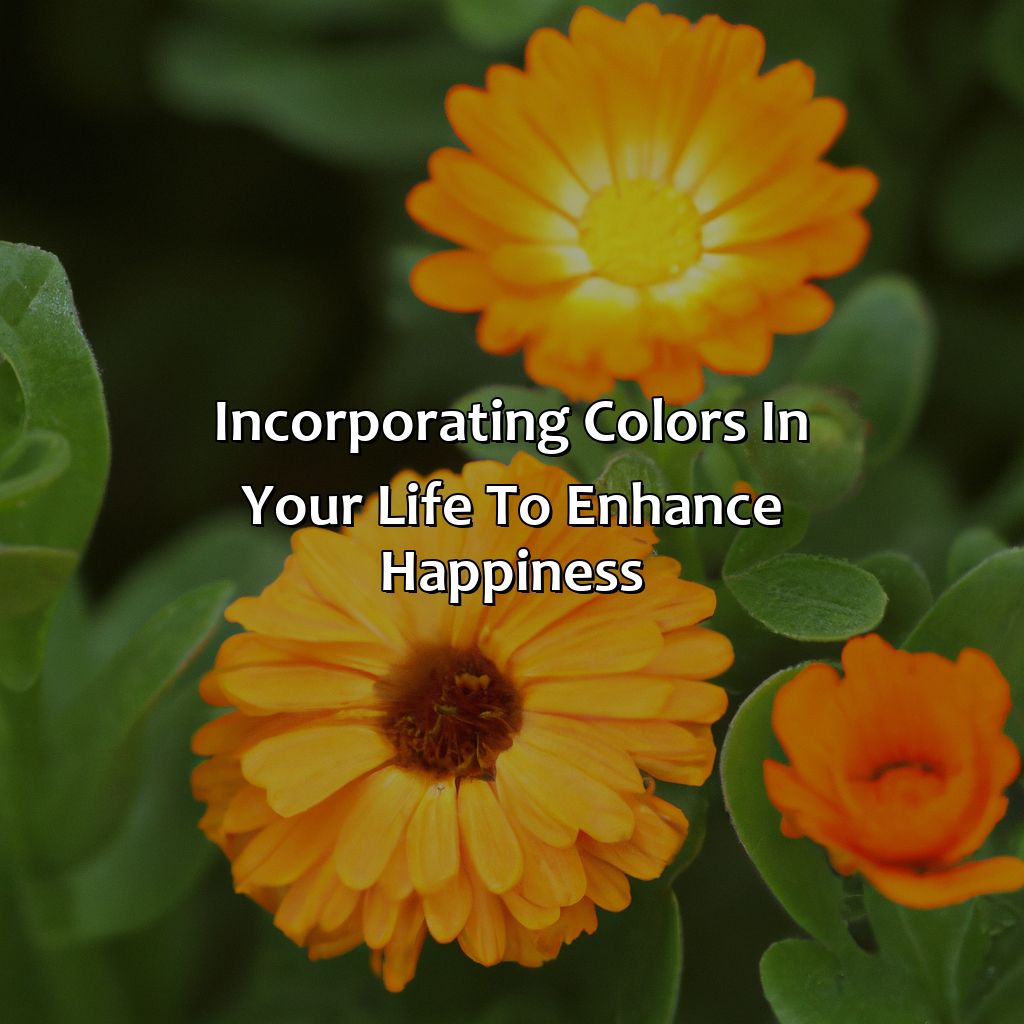 Incorporating Colors In Your Life To Enhance Happiness  - What Color Represents Happiness, 