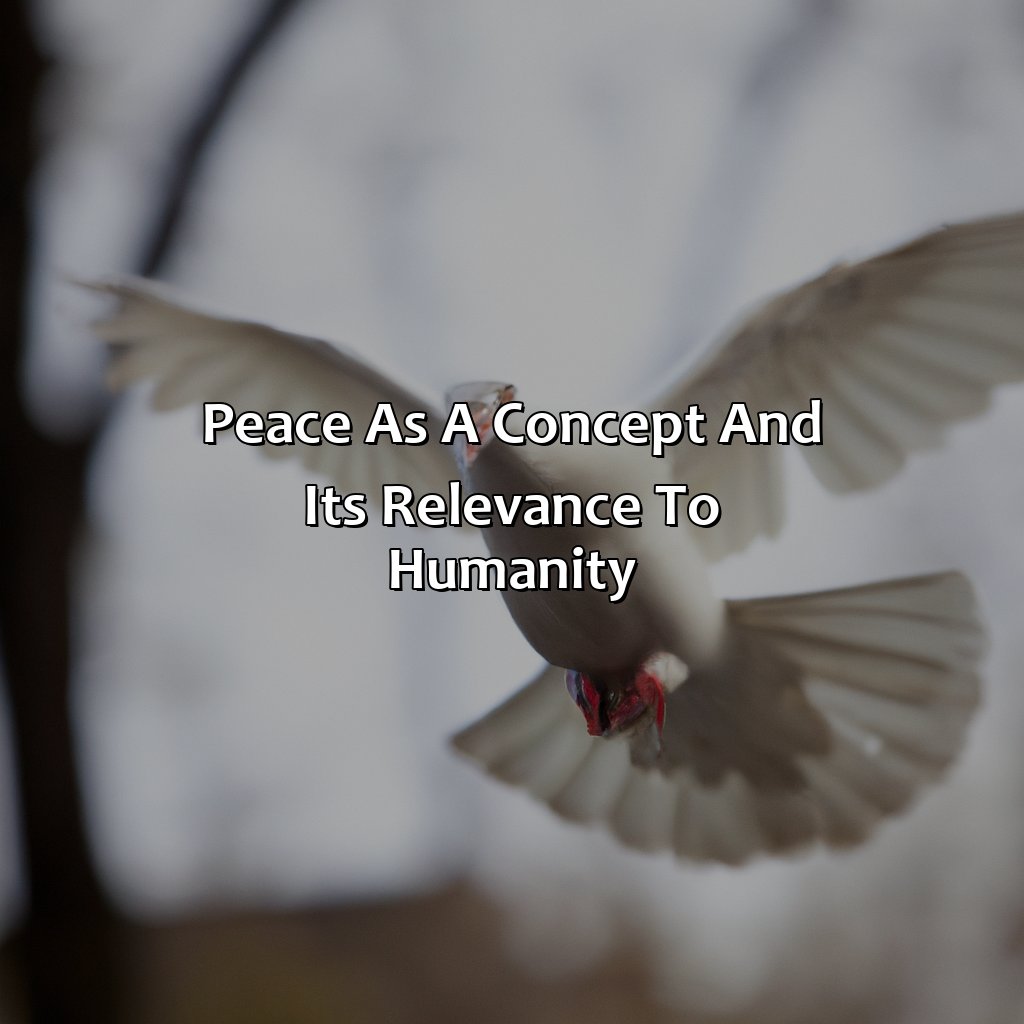 Peace As A Concept And Its Relevance To Humanity  - What Color Represents Peace, 