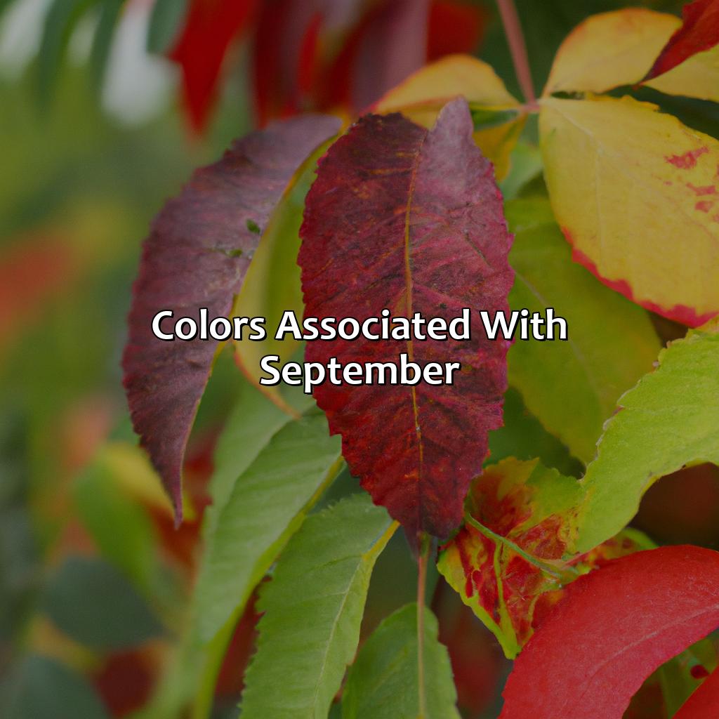 Colors Associated With September  - What Color Represents September, 