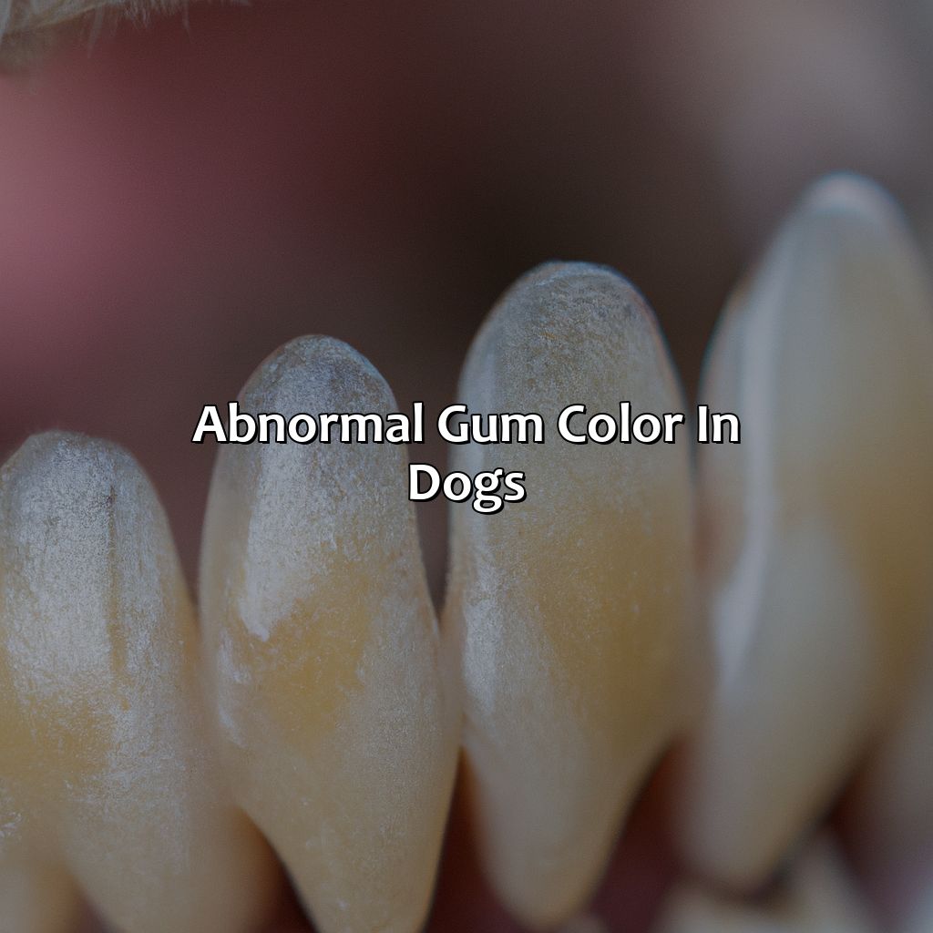 Abnormal Gum Color In Dogs  - What Color Should A Dog