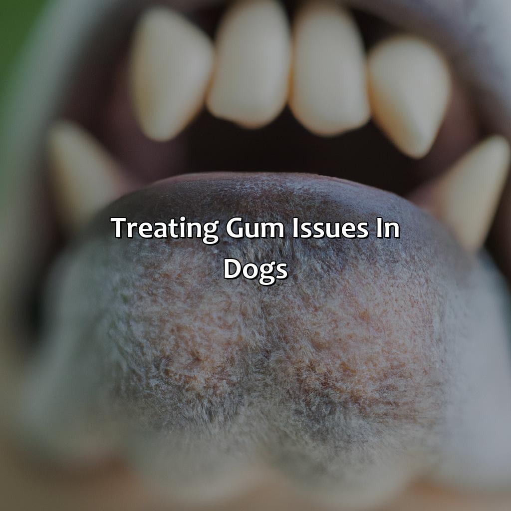 Treating Gum Issues In Dogs  - What Color Should A Dogs Gums Be, 