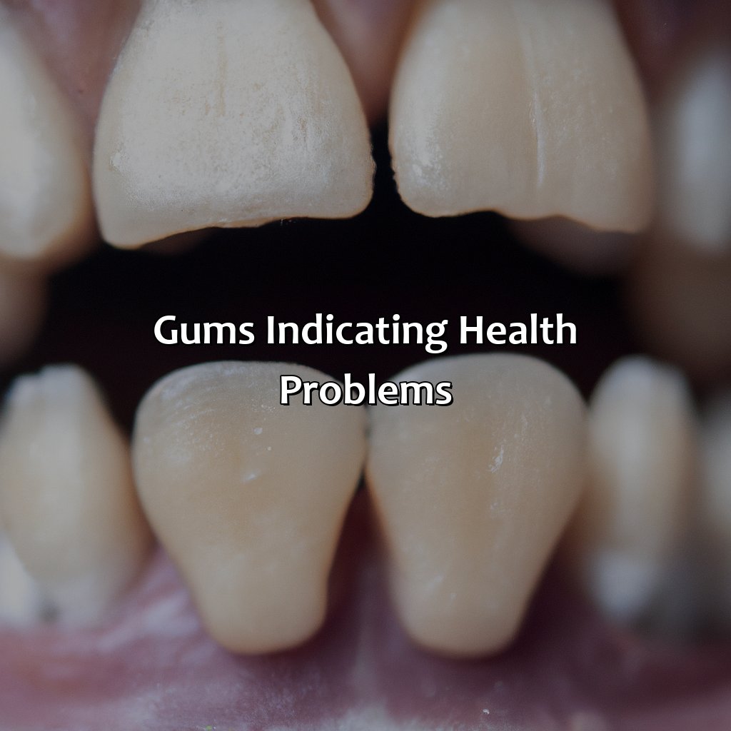 Gums Indicating Health Problems  - What Color Should A Dogs Gums Be, 