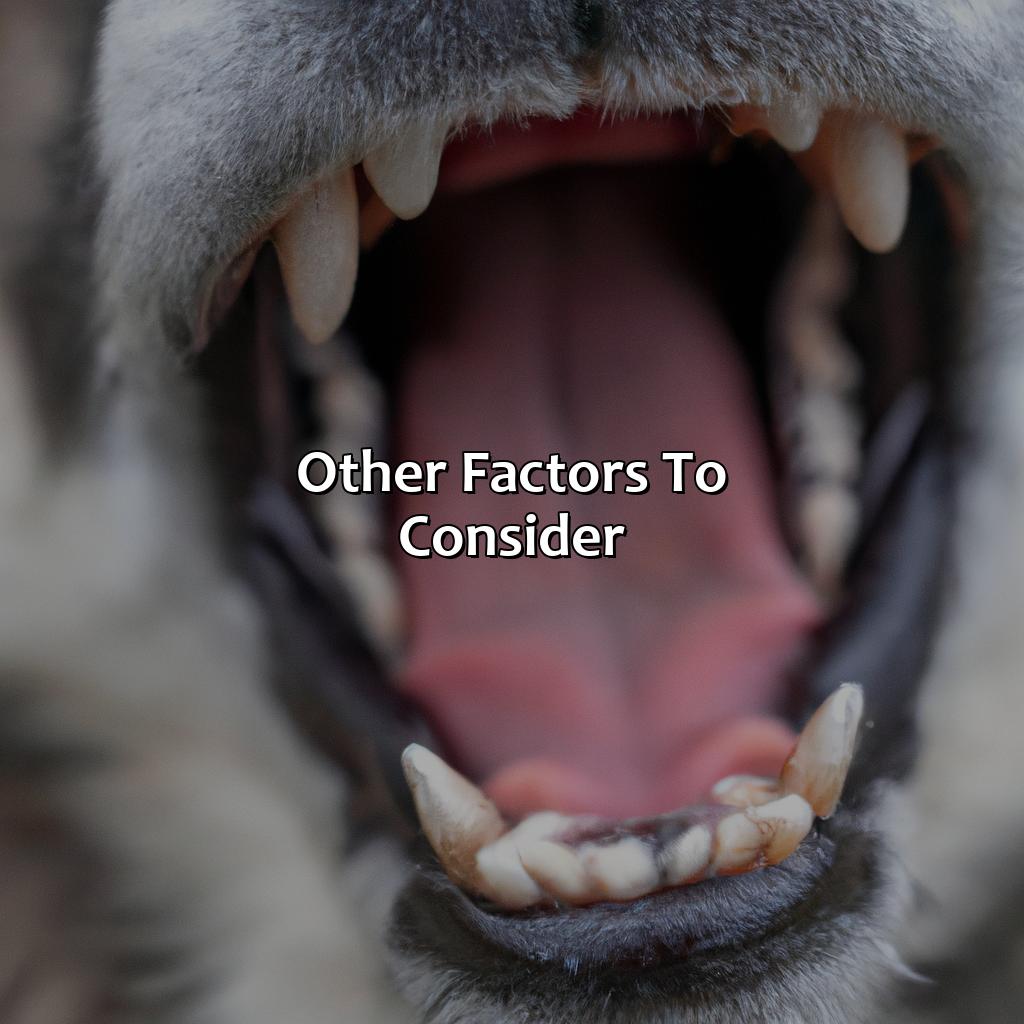 Other Factors To Consider  - What Color Should Dog Gums Be, 