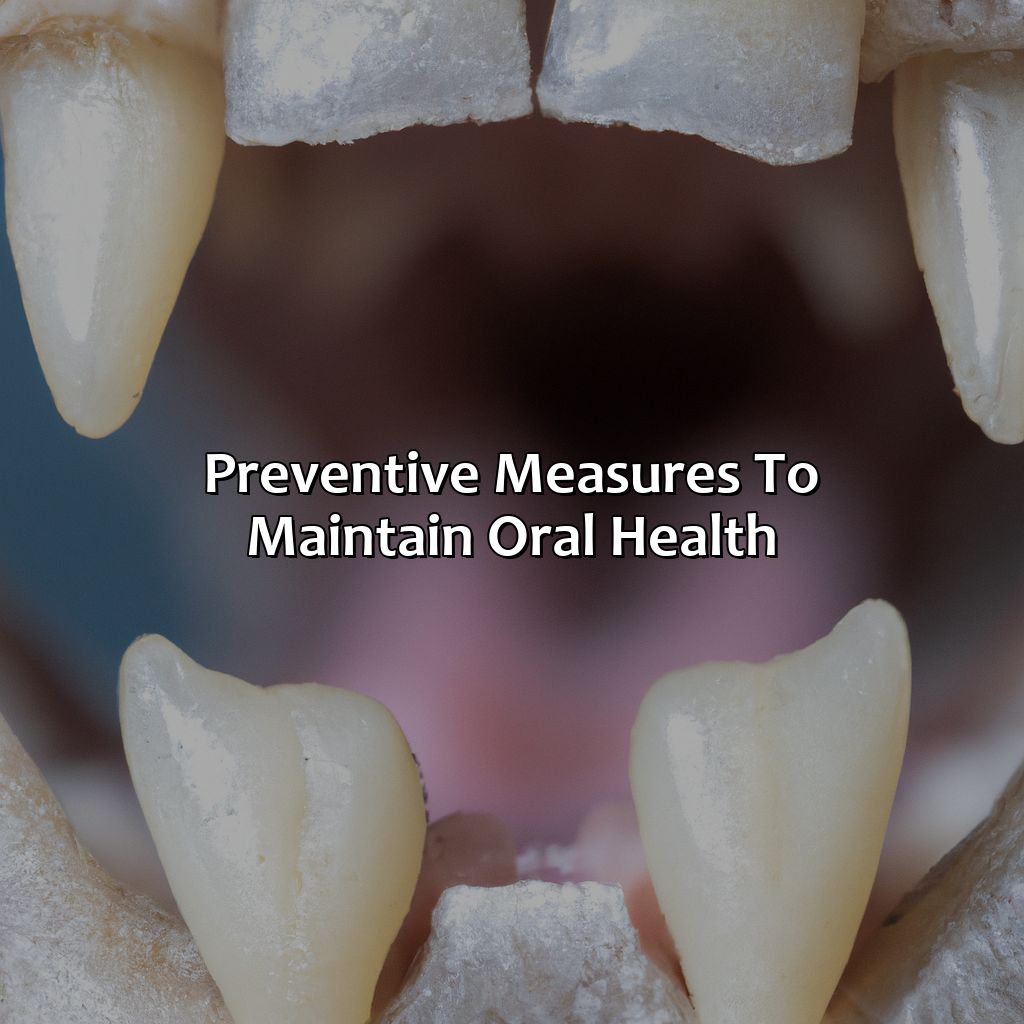 Preventive Measures To Maintain Oral Health  - What Color Should My Cats Gums Be, 