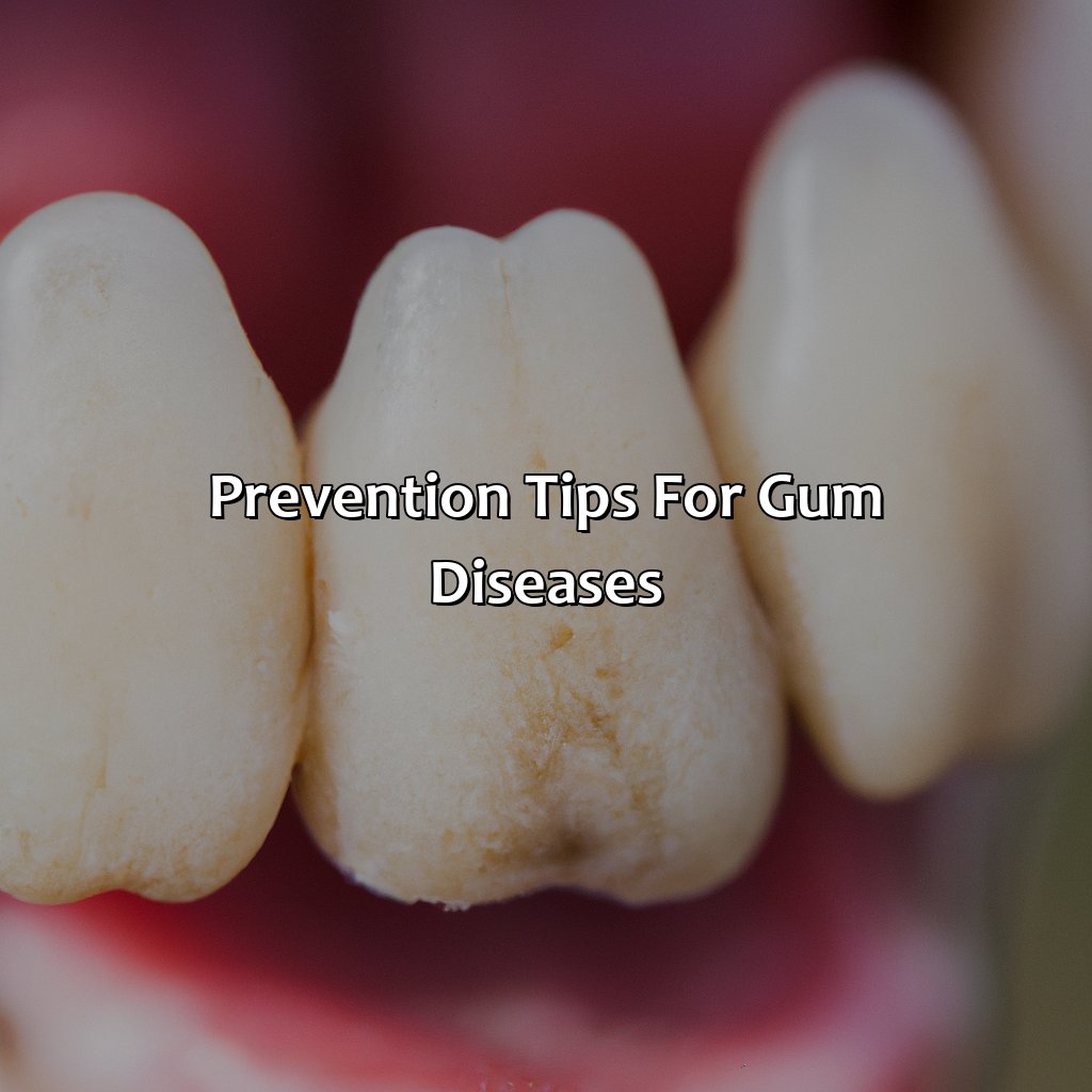 Prevention Tips For Gum Diseases  - What Color Should My Dogs Gums Be, 