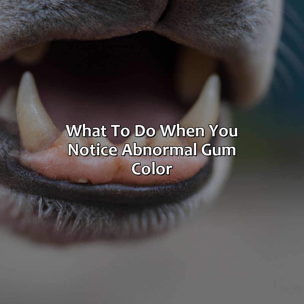 What To Do When You Notice Abnormal Gum Color  - What Color Should My Dogs Gums Be, 