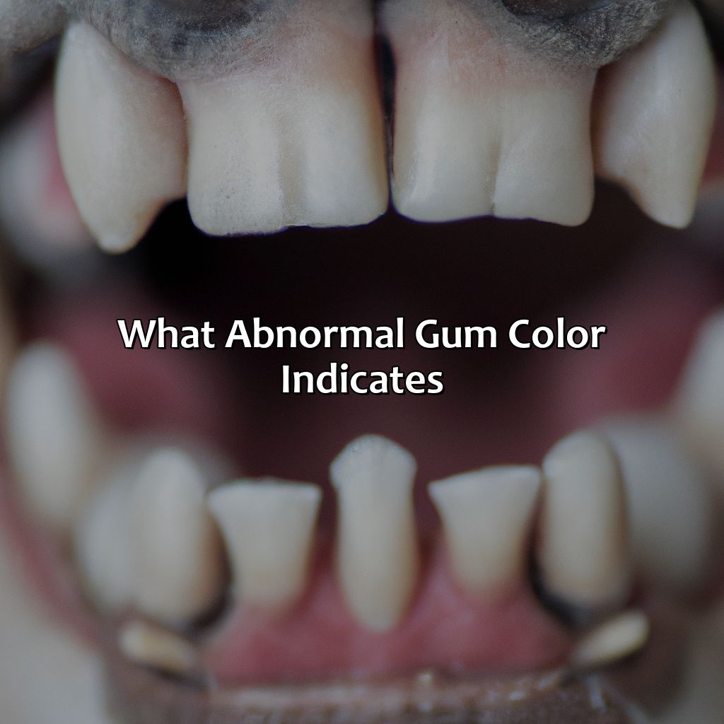 What Abnormal Gum Color Indicates  - What Color Should My Dogs Gums Be, 