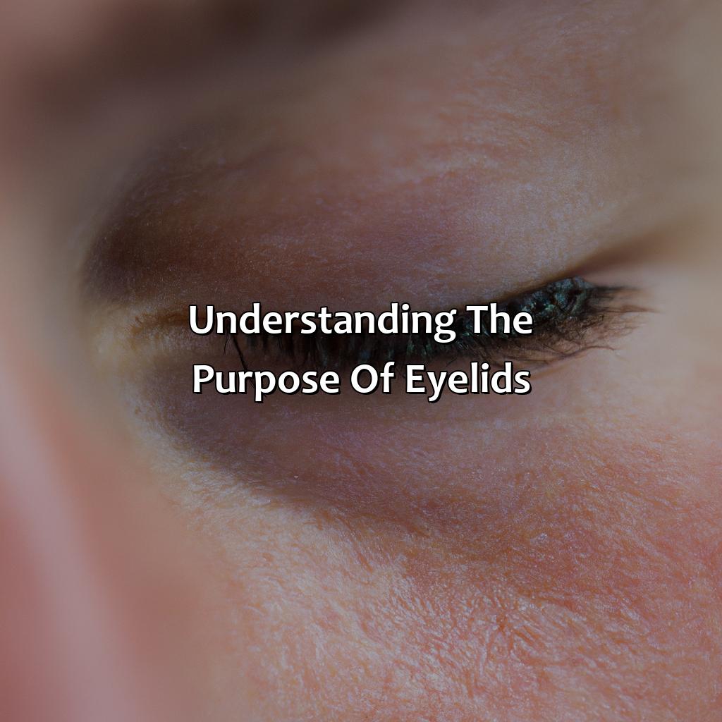 Understanding The Purpose Of Eyelids  - What Color Should The Inside Of Your Eyelids Be, 