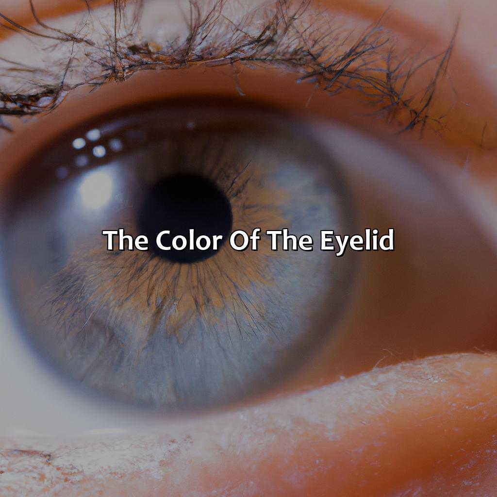 The Color Of The Eyelid  - What Color Should The Inside Of Your Eyelids Be, 