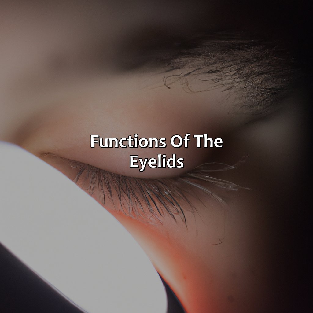 Functions Of The Eyelids  - What Color Should The Inside Of Your Eyelids Be, 